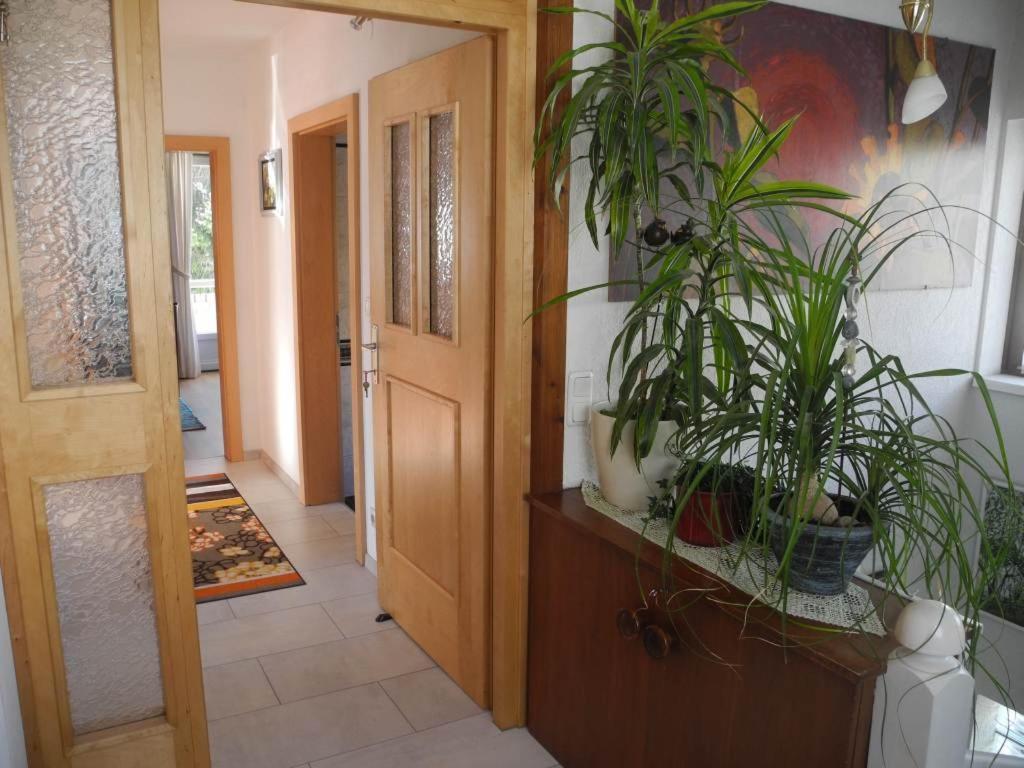 Haus Herzog Matrei in Osttirol Εξωτερικό φωτογραφία